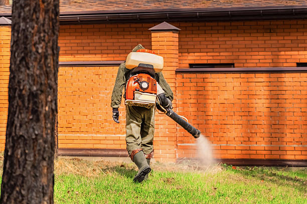 Trusted Rodent Control service in Tamalpais-Homestead Valley, CA - Nex Pest Control